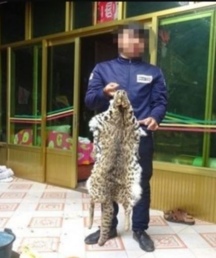 這香貓肉不錯 強國男殺掉豹猫煮來吃 國際 自由時報電子報