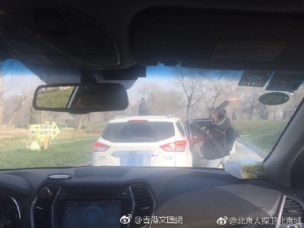 吳男在動物園的自駕區內下車，拿紅蘿蔔丟熊。（圖擷取自微博）