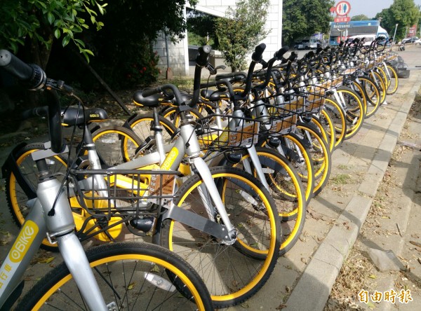 oBike共享單車陸續進駐西螺及斗南。（記者黃淑莉攝）