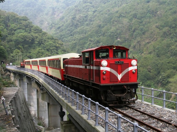 目前由台鐵協助營運的阿里山森林鐵路，營運契約年底將到期，行政院日前同意林務局成立專責單位，從台鐵手上收回森鐵營運權。（資料照，台鐵局提供）