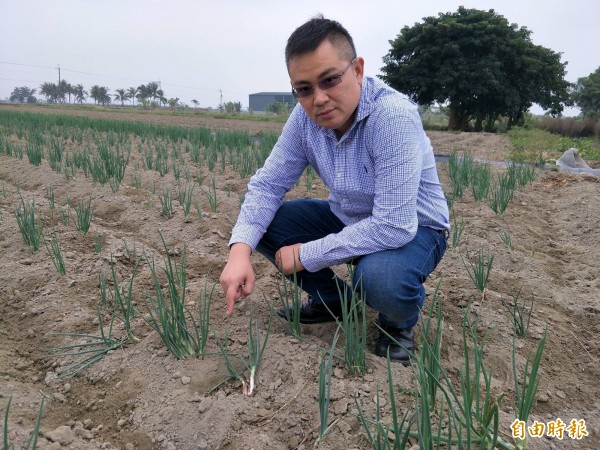 施柏男表示，里內常有流浪狗群聚破壞蔥農的作物。（記者邱灝唐攝）