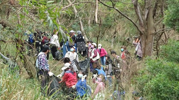 民眾及志工等到清水鰲峰山上清除小花蔓澤蘭。（水利局提供）