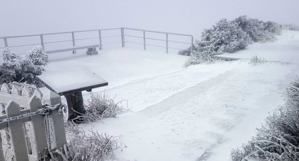 玉山今日再飄降白雪，玉山群峰呈現雪白北國風情。（記者謝介裕翻攝）