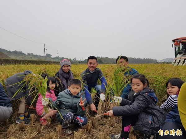 市長林智堅（後排中）今天與一、二年級學生一同進行二期稻作收成。（記者王駿杰攝）