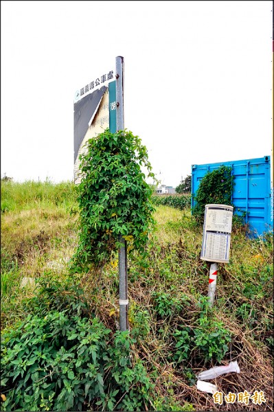 朴子市永和里縣道一六八線與東石鄉蔦松村接壤的「湖底」站牌，桿身歪斜、桿身與時刻表轉輪底部與周邊雜草叢生，被批有損地方形象。（記者曾迺強攝）