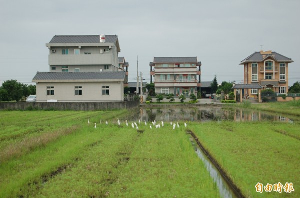 宜蘭縣政府預告「宜蘭縣農業用地申請興建農舍及農業設施容許使用審查辦法」，堅持農地農用三原則不變。 （記者游明金攝）