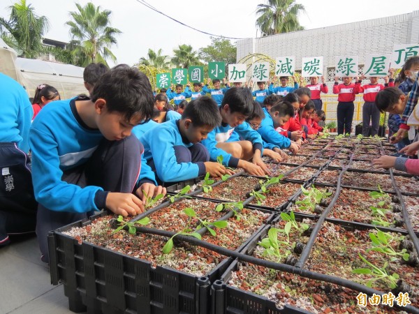 崇學國小綠屋頂啟用，小朋友一起種下植栽。（記者蔡文居攝）