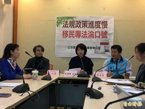 國民黨立委林麗蟬提案修「新住民基本法」，盼能更保障新住民權益。（記者鄭鴻達攝）