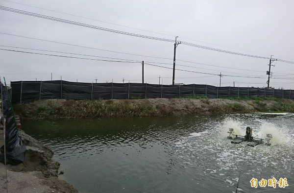 鋒面抵達後，風雲變色，台南七股魚塭紛紛啟動水車，也引水提高魚塭水位，有的加設防風網為魚塭升溫、保溫。（記者楊金城攝）