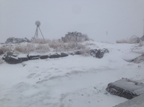 玉山飄降瑞雪，北峰氣象站積雪超過四公分。（圖由玉管處提供）