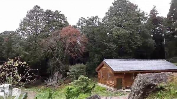 阿里山今天上午10點左右降下今年第一場雪。（氣象局提供）