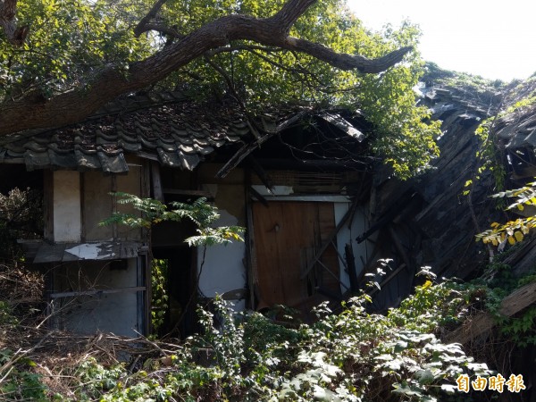 危險！通霄神社社務所、休憩所恐傾倒。圖為休憩所。（記者蔡政珉攝）