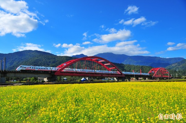 422次普悠瑪通過玉里鎮客城鐵橋，紅色拱橋搭配油菜花海、爆藍色晴空，美景令人屏息。（記者花孟璟攝）