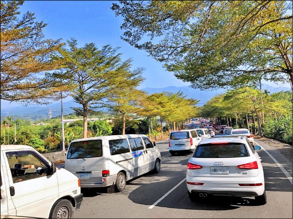 嘉義縣梅山昨天舉辦大型騎跑活動，加上賞梅遊客車潮，造成市區與周邊大塞車。（記者蔡宗勳翻攝）