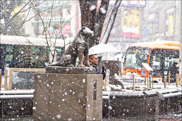 澀谷地標忠犬八公像也披上白雪。（駐日特派員林翠儀攝）