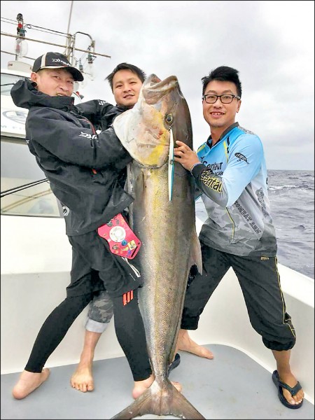 大魚吞小魚意外釣起巨無霸紅甘 焦點 自由時報電子報