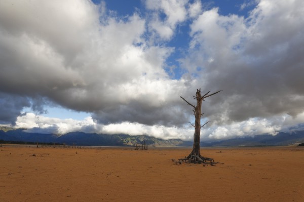 南非開普敦陷嚴重缺水危機90天後可能無水可用 國際 自由時報電子報