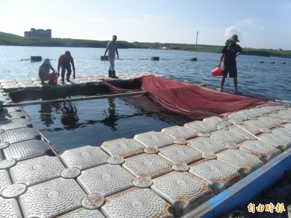 連日來寒流來襲！澎湖海洋生物研究中心提出寒流預報警訊。（記者劉禹慶攝）