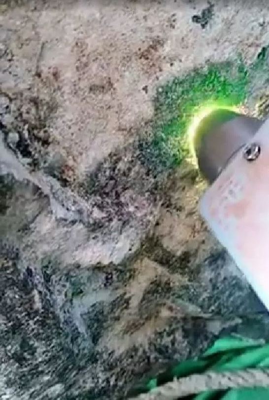 這塊翡翠原石玉種很不錯。（圖取自緬甸中文網）