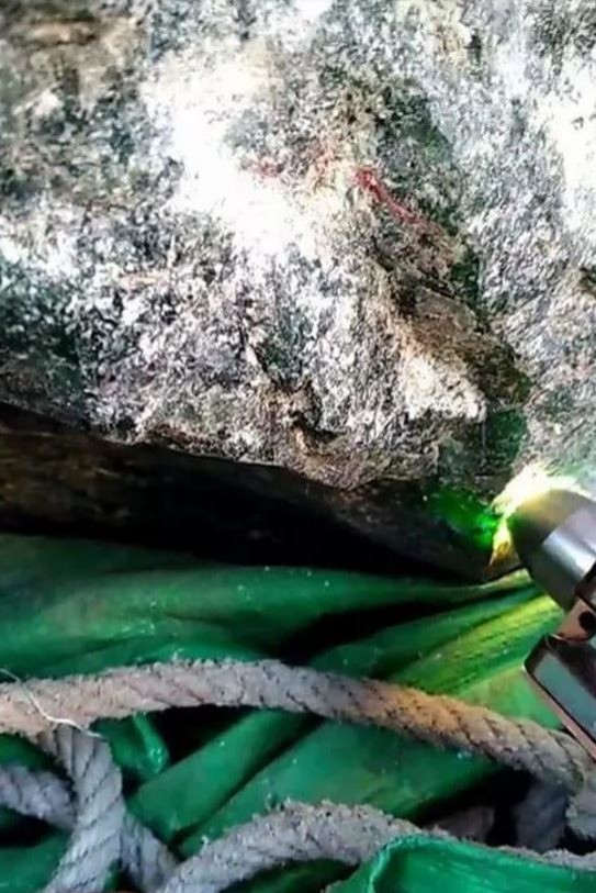 巨型翡翠原石重達1466公斤。（圖取自緬甸中文網）