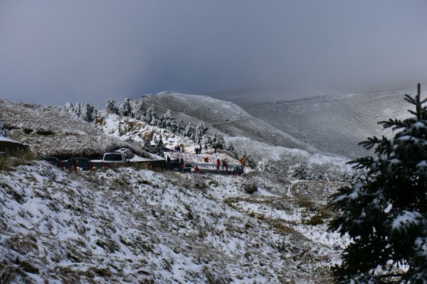 合歡山昨天積雪未融，也讓遊客上山體驗美麗的北國風情。（圖：民眾李中興提供）