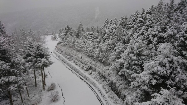 宜蘭太平山昨天清晨開始連續降雪，整座山頭宛如被冰封一般，成了銀白色世界。（記者張議晨翻攝）