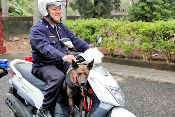 流浪犬蛻變警犬 霸王 入鏡nhk 社會 自由時報電子報