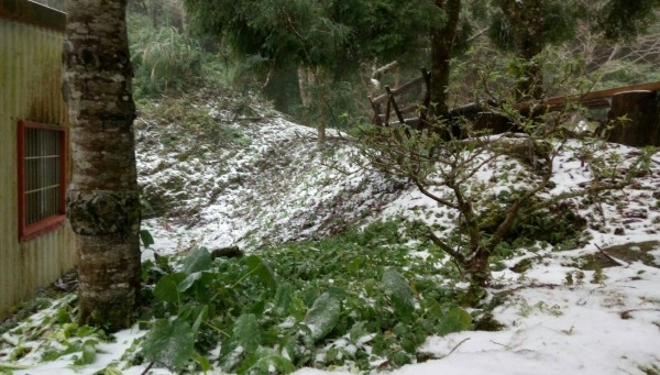 南庄鹿場地區今早降下入冬以來的第一場雪，積雪約一公分高。（記者鄭名翔翻攝）