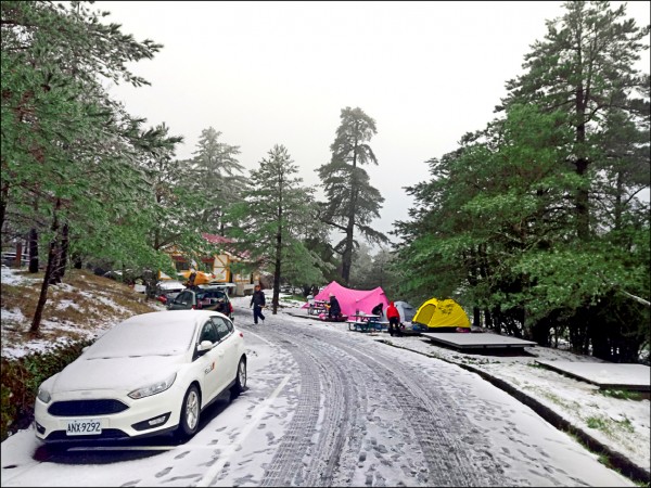 福壽山農場前天晚間冰霰與雪交叉降下，遊客欣喜若狂。（福壽山農場提供）