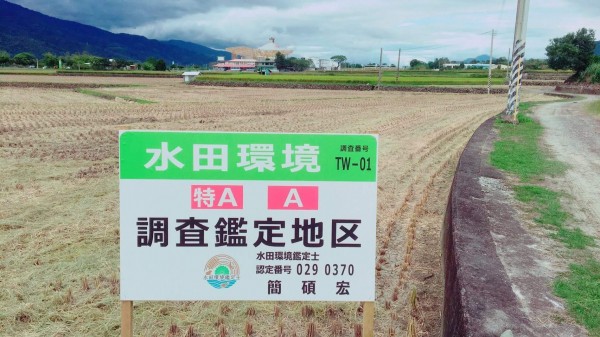 富里鄉進行水田環境生態調查，共有6公頃獲得「米．食味鑑定士協會」發出的台灣第一張「水田環境特Ａ認定証」。（富里鄉農會提供）