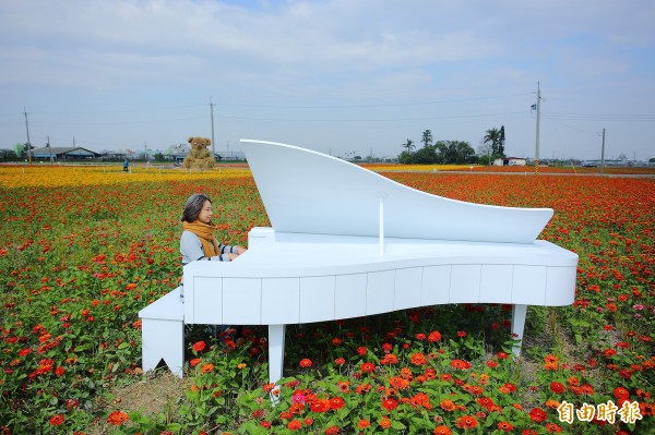 今年太保市花海節造景豐富多樣，純白鋼琴造景在花海中增添浪漫氛圍。（記者李惠洲攝）