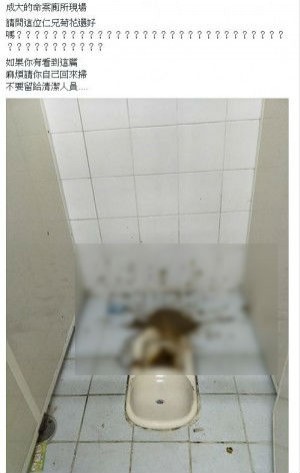 噁心屎噴滿地，林姓網友PO文追兇。（圖取自爆廢公社臉書）