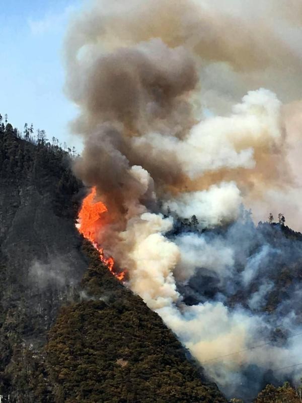 中國四川雅江高山森林大火已燒4天，還沒撲滅。（圖擷取自《澎湃新聞》）