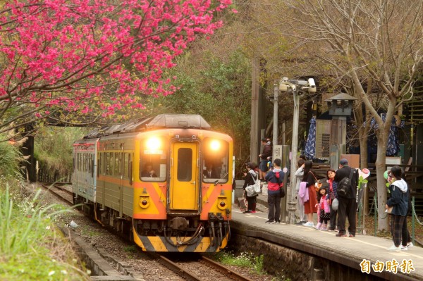 從台鐵竹中站發車到合興站，載客準備前往內灣的小火車，停靠在紅色緋寒櫻下，是當地的季節限定版美照。（記者黃美珠攝）