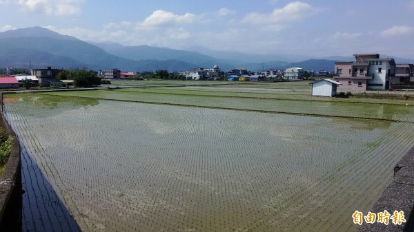 宜縣推蓄洪補助每公頃2萬元，冬山300公頃農田當示範區。（記者簡惠茹攝）