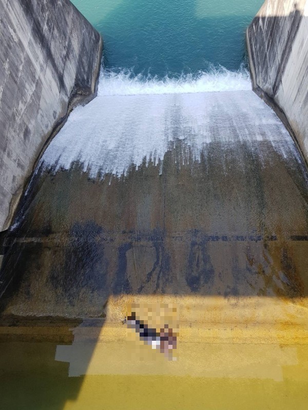 å¥³å­é™³å±é¯‰é­šæ½­æ°´åº«æº¢æ´ªé