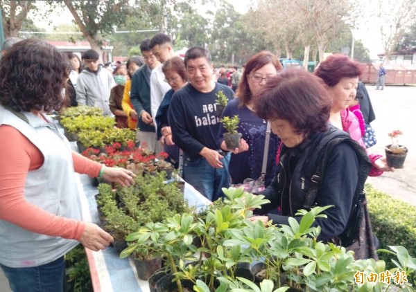 提前掃墓還可領小盆栽！新竹市政府鼓勵民眾提前掃墓祭祀，今年延續去年政策，並加碼到連續4週共8天都送小盆栽，每日700份，送完為止。（記者洪美秀攝）