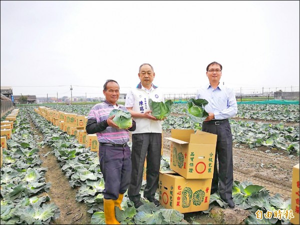 雲林議員陳瑞雄協調 高麗菜銷新北7千箱 - 地方 - 自由時報電子報