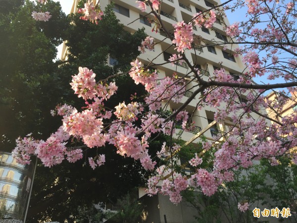 中央氣象局指出，今天（23日）清晨在輻射冷卻影響下，各地氣溫仍低，平地最低溫板橋僅9.3度，白天氣溫將明顯回升。（資料照）