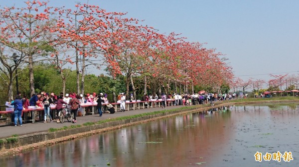 壯觀 白河木棉花道千人花下做長壽司 臺南市 自由時報電子報