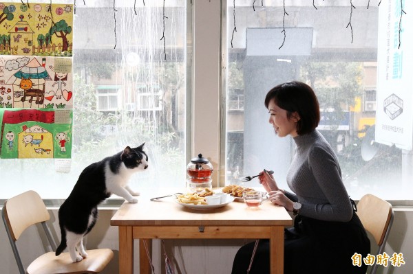 讀貓園內可提前預約與店貓一起用餐，享受寧靜的下午時光。（記者沈昱嘉攝）