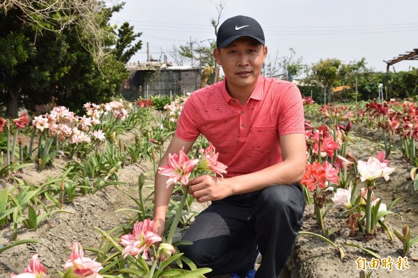 吳俊育從高中迷上孤挺花，至今36年種花，也培育新品種，近公頃孤挺花園免費開放賞花。（記者黃淑莉攝）