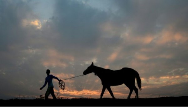 印度一名「賤民」階級年輕農夫因為擁有馬匹被活活打死。（圖擷自www.geo.tv）