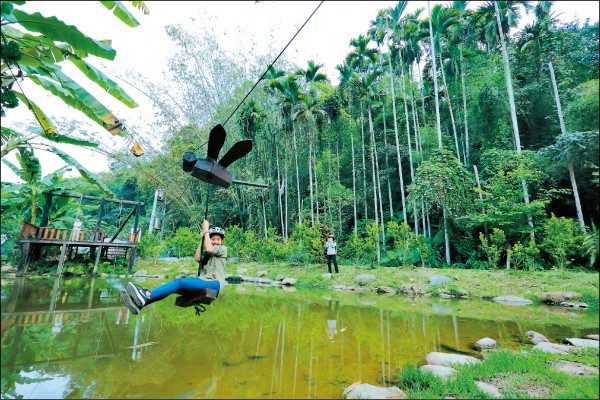 空中滑索體驗 南投 桃米社區 生活週報 自由時報電子報