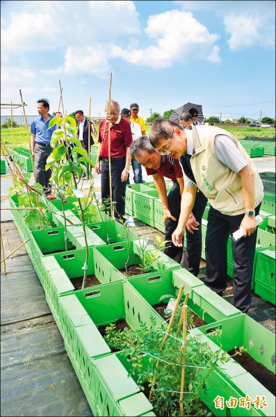 開心農場實體化的共享田園揭幕，吸引地方各界參觀。（記者吳俊鋒攝）