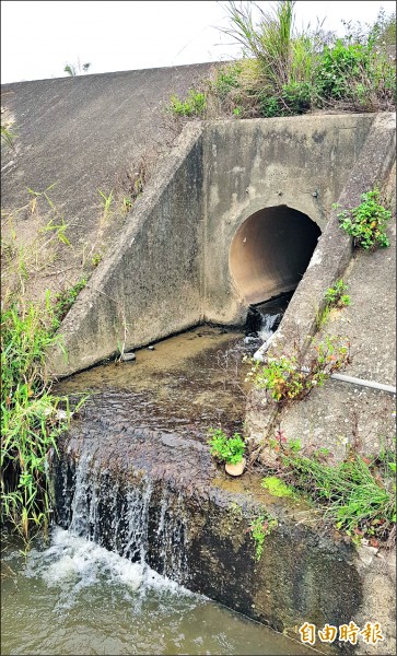 山溝圳排下地通過提內道路，至堤外僅為直徑約一公尺的圓管流洩出。（記者彭健禮攝）