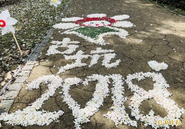 古坑荷苞山客家桐花祭搶先全國浪漫登場。（記者廖淑玲攝）