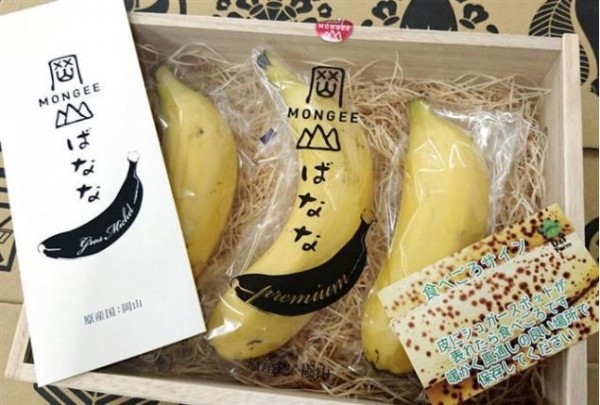 日本成功培植出能在寒帶地區也能栽種成功的香蕉。（圖擷自產經新聞）