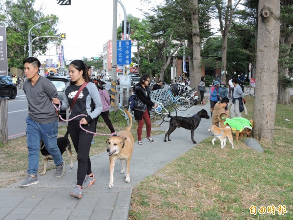 台東縣農業處推動犬貓絕育、希望逐步降低流浪犬貓數量。（記者張存薇攝）