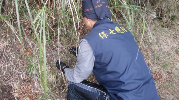 為了山羌、長鬃山羊，保七員警上山拆陷阱。（記者蔡政珉翻攝）